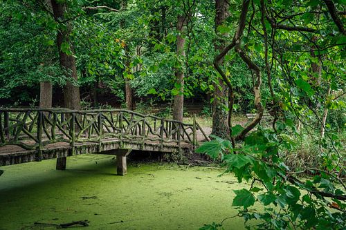 Brug Groenendaalse bos