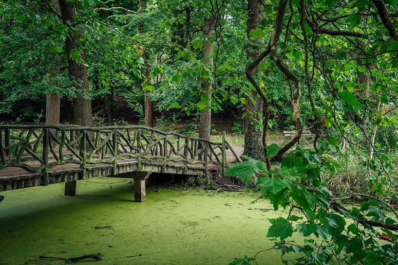 Pont de la forêt de Groenendaal par iwan faber