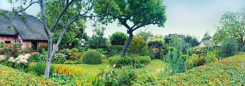 natuur panorama