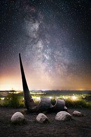 Galactische spiraal van Florian Schmidt