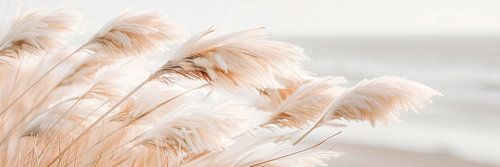 Poëzie aan zee - idylle van pampagras