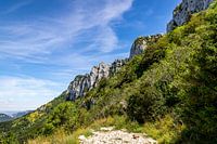 French Landscape - Combe Laval