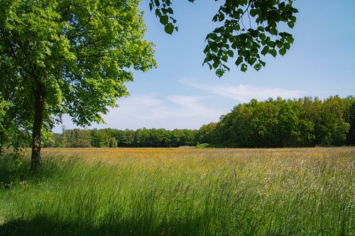 Land van Geel en Groen