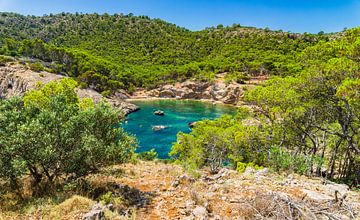 Mooi strand van Caló des Monjo, idyllische baai Mallorca, van Alex Winter