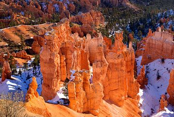 Bryce Canyon in winter [2] van Adelheid Smitt
