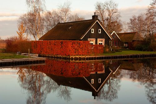 Reflet dans l'eau sur Leo Keijzer