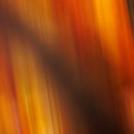 Abstrate autumn photo by Krijn van der Giessen