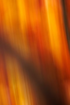 Abstrate herfstfoto