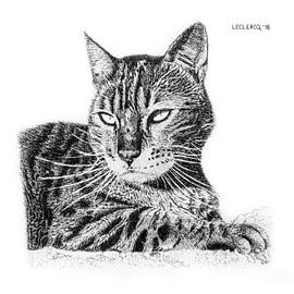 Resting cat by Devon Leclercq