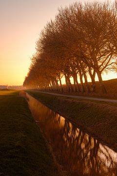 Sunset canal through Walcheren dyke by Andy Troy