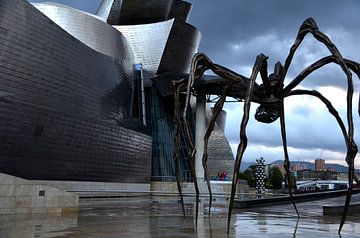 Guggenheim museum Bilbao van Greetje Dijkstra