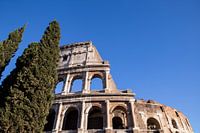 Colosseum met bomen