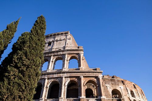 Colosseum with trees