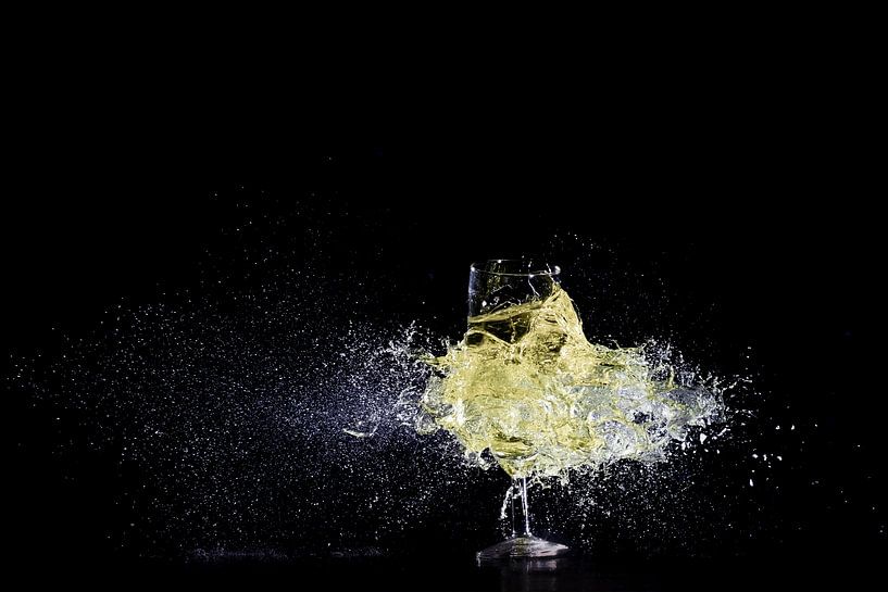 Champagnerglas von Antwan Janssen