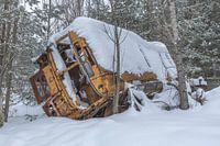Bus de couleur jaune dans la forêt et la neige