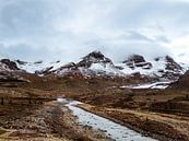 Columbia Icefield, Kanada von Daan Duvillier | Dsquared Photography Miniaturansicht