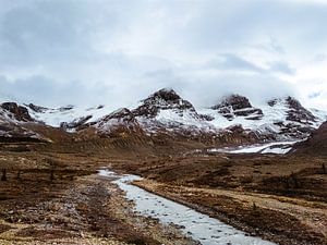 Columbia Icefield, Kanada