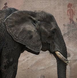 Elefant von Danny den Breejen