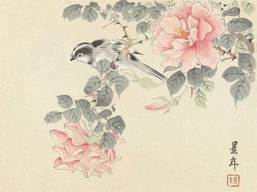Imao Keinen - Black and white bird among pink roses (1892-1911)