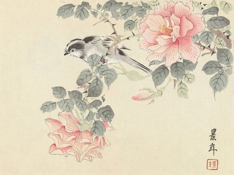 Imao Keinen - Black and white bird among pink roses (1892-1911) by Peter Balan