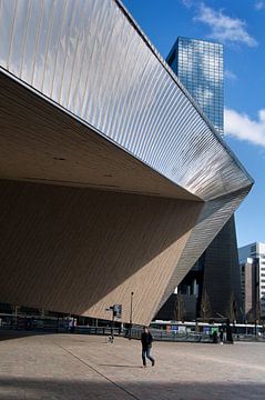 Rotterdam Centraal Station van Peter Hofwegen