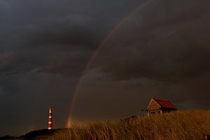 Vuurtoren Ameland van Rinnie Wijnstra