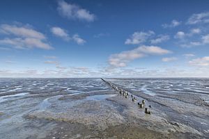 Les vasières frisonnes à marée basse - Photographie de nature des vasières à marée basse