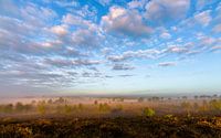 Misty Morning Sunlight