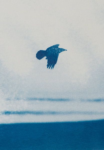 Freedom by Remke Spijkers