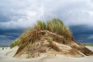 Dune van Eva Overbeeke