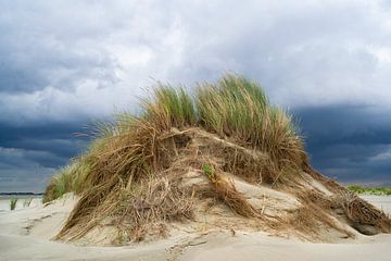 Dune by Eva Overbeeke