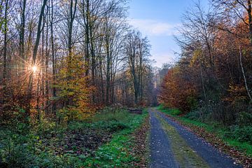 De Deister in de herfst van Horst Husheer