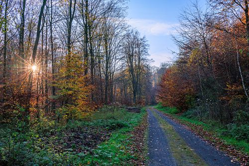 Der Deister im Herbst