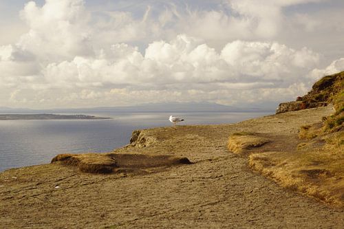 Kliffen van Moher - Ierland