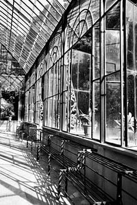 Gewächshaus im botanischen Garten von Palermo