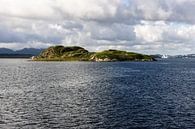 Fjord van Noorwegen von Remco de Zwijger Miniaturansicht