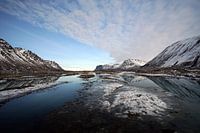 Winter landscape