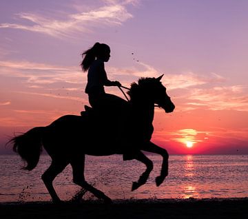 Paard met ruiter tijdens ondergaande zon