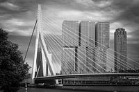 Zwischen Brücke und Wolkenkratzer