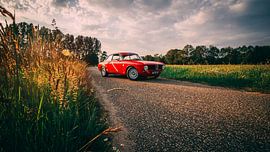 Alfa Romeo by car photography