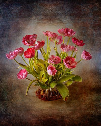 Tijdloze Tulpen: Eenvoud in Bloei