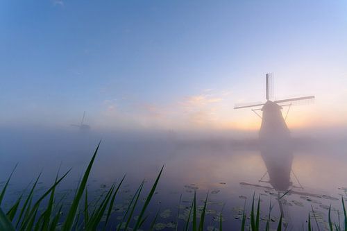Kinderdijk op z'n mooist!