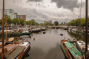 Piushaven 100 jaar