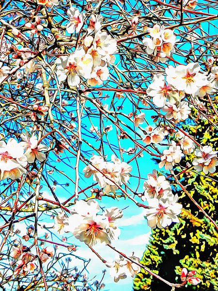 Zeit der Mandelblüte von Dorothy Berry-Lound