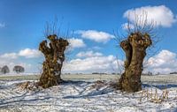 Winter in Zuid-Limburg van John Kreukniet thumbnail