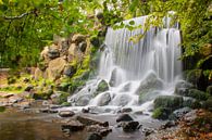 Wasserfall im Stadtpark Sonsbeek in Arnheim. von Rob Christiaans Miniaturansicht