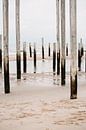 Palendorp petten aan het strand van Lindy Schenk-Smit thumbnail