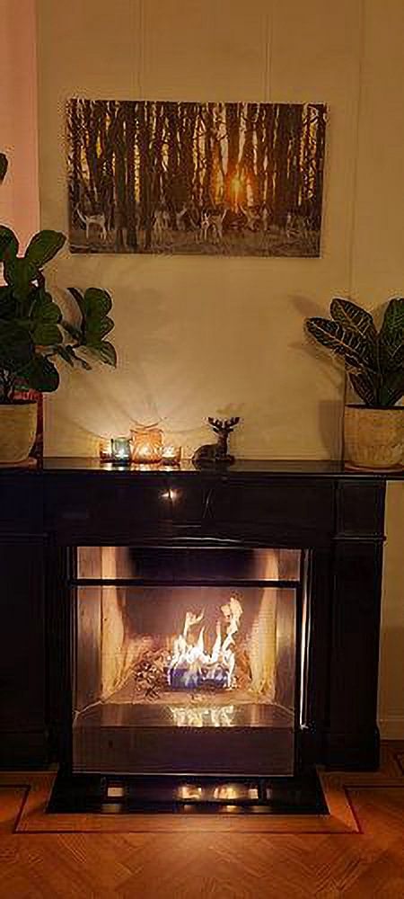 Hirsche im AWD von Dirk van Egmond