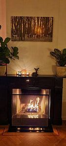 Un chevreuil dans l'AWD