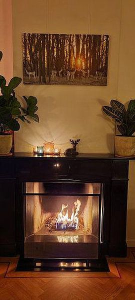 Un chevreuil dans l'AWD